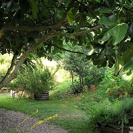 לינה וארוחת בוקר La Maison Des Aubees Rémalard