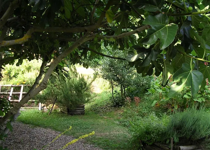 La Maison Des Aubees Bed & Breakfast 3*